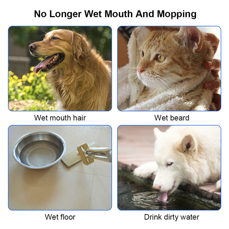PawLuxe Hydration Set – The Perfect Hydration for Your Pet!