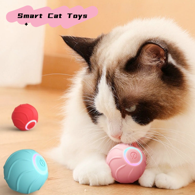 Pawfect SmartCat™️ BounceBall