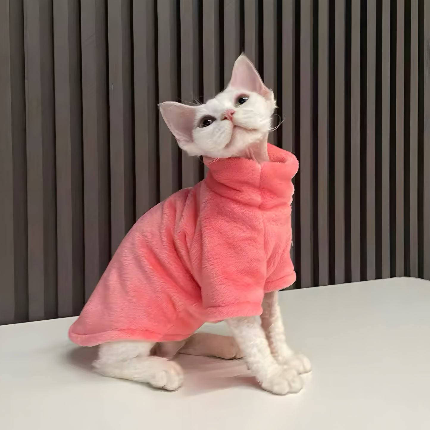 Pull en peluche CozyCat