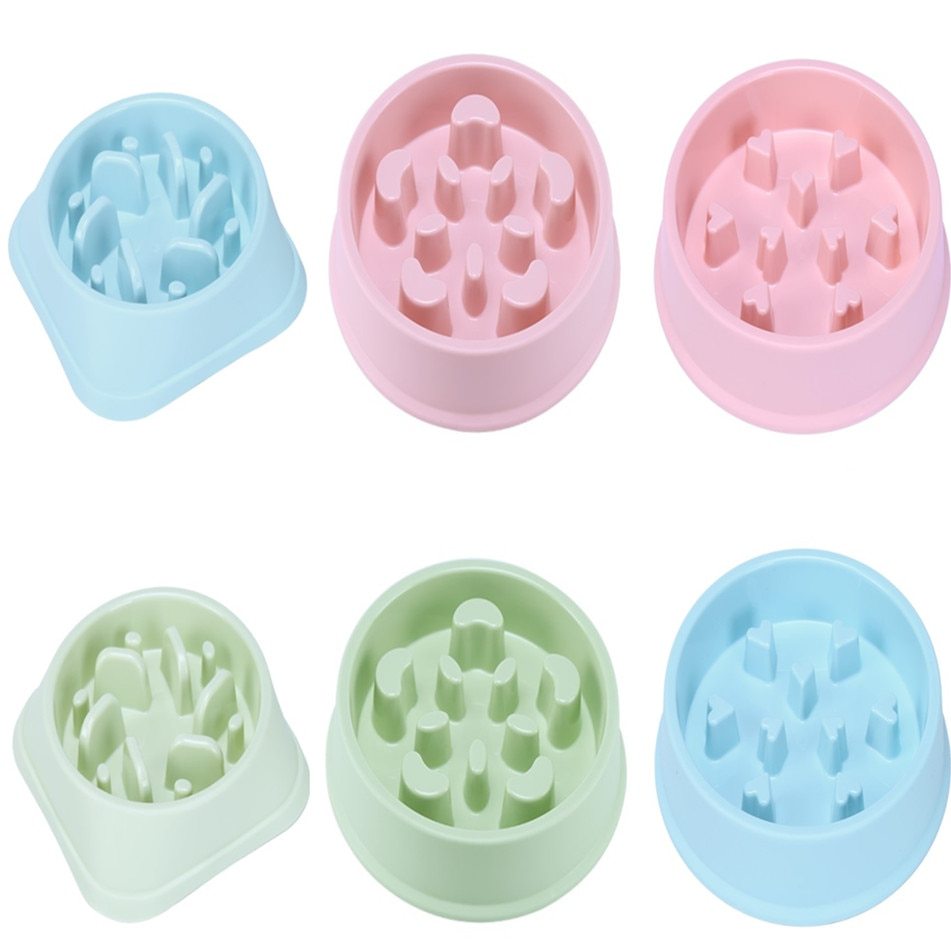 PawGuard™ Slow Feeder