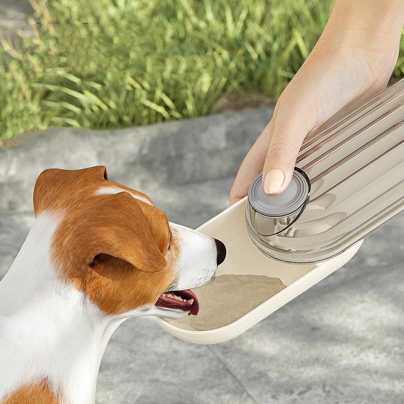 Bouteille d'eau pour chien 2 en 1